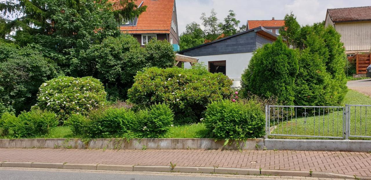 Ferienwohnung Schone Auszeit Hohegeiß Exteriör bild